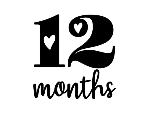 12 month subscription box